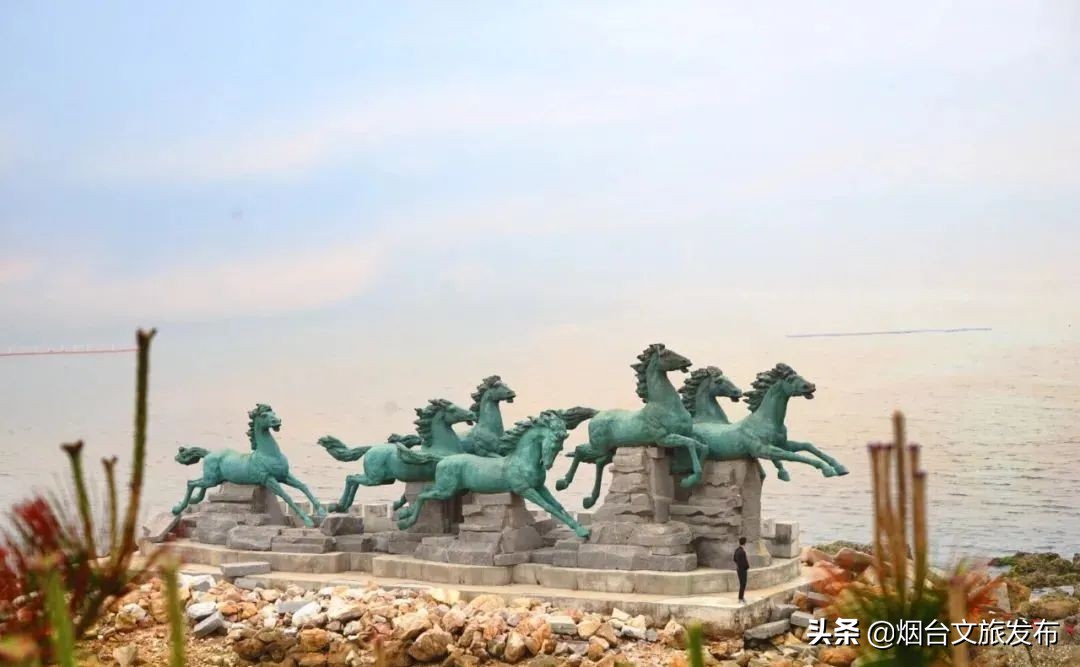 烟台养马岛夏季,烟台养马岛什么天气适合去