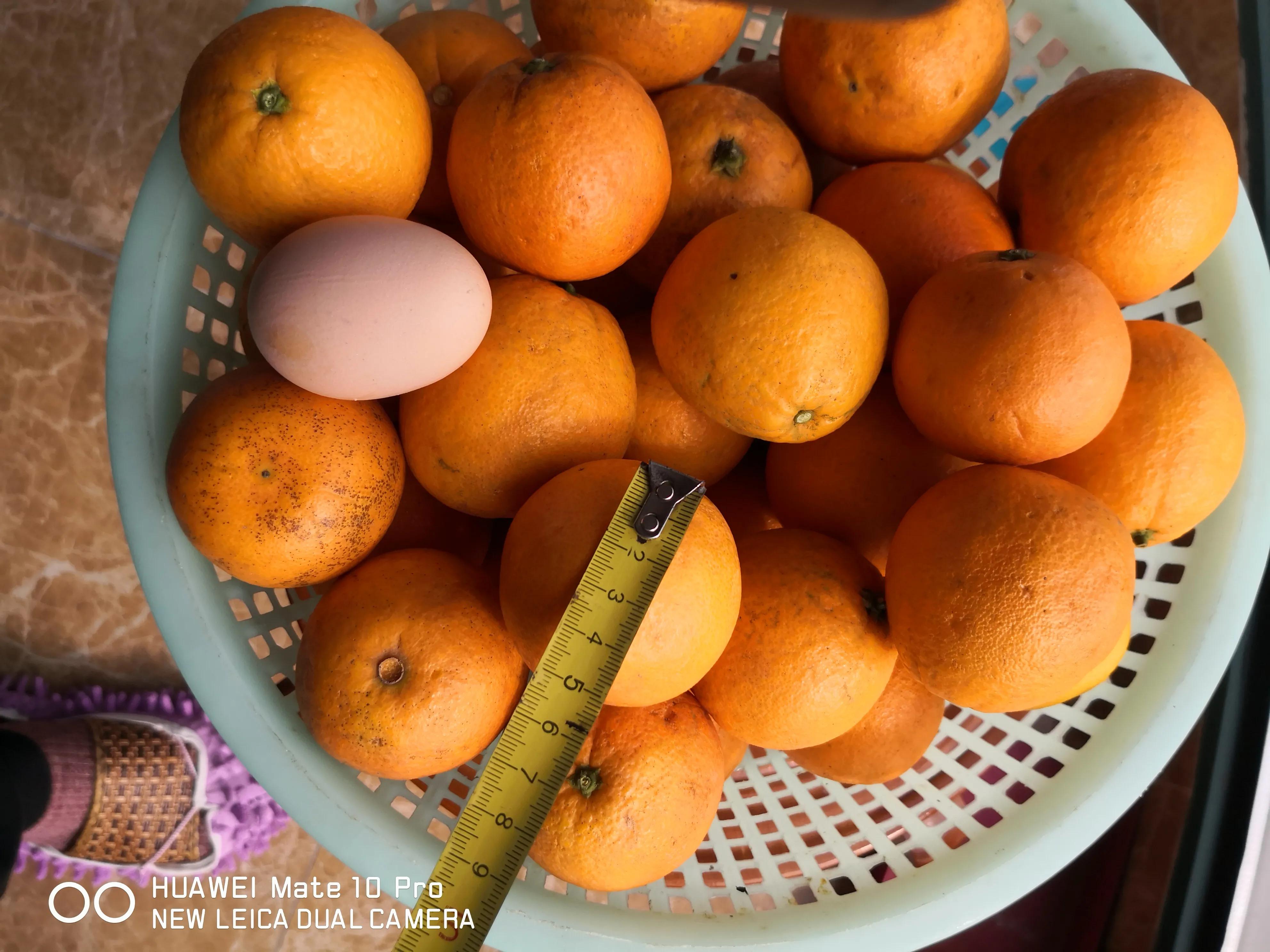 从“老王果园自销基地”网购水果感想