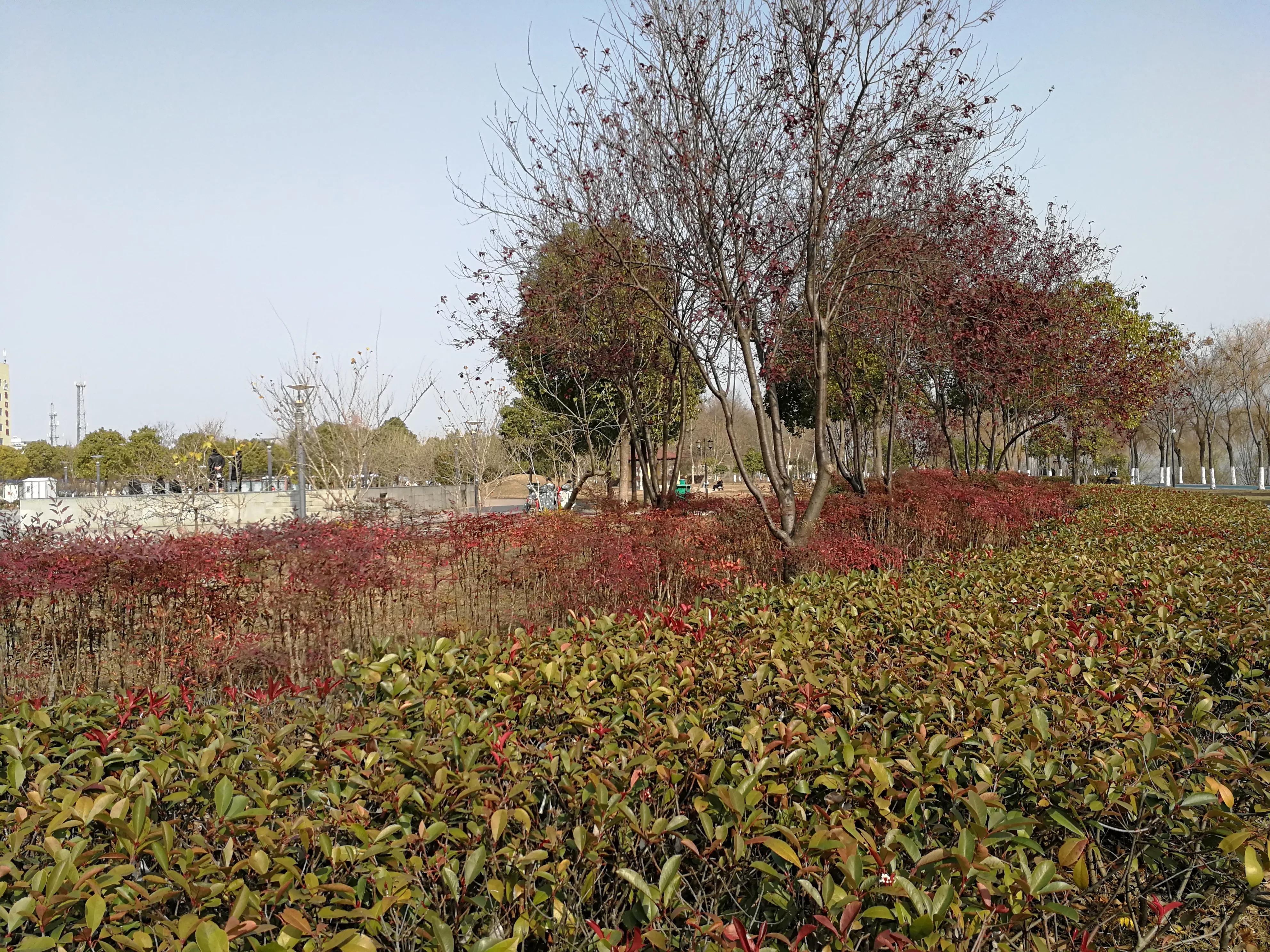 武汉纱帽山遗址,武汉纱帽山