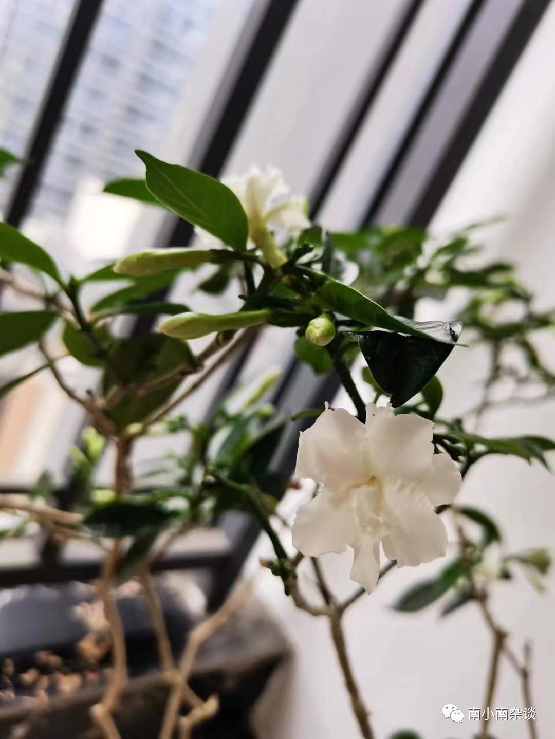 成年人的生活仪式感都是自己给的,生活需要仪式感矫情一下又老一岁