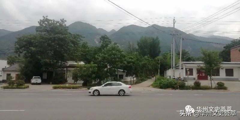 蹲在树股杈上拉臭臭——华州老人笑侃“手纸”变迁