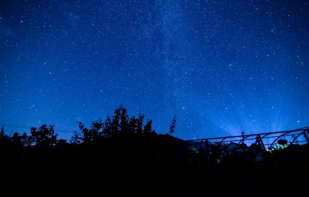 淄博春天赏花,淄博赏花时间表