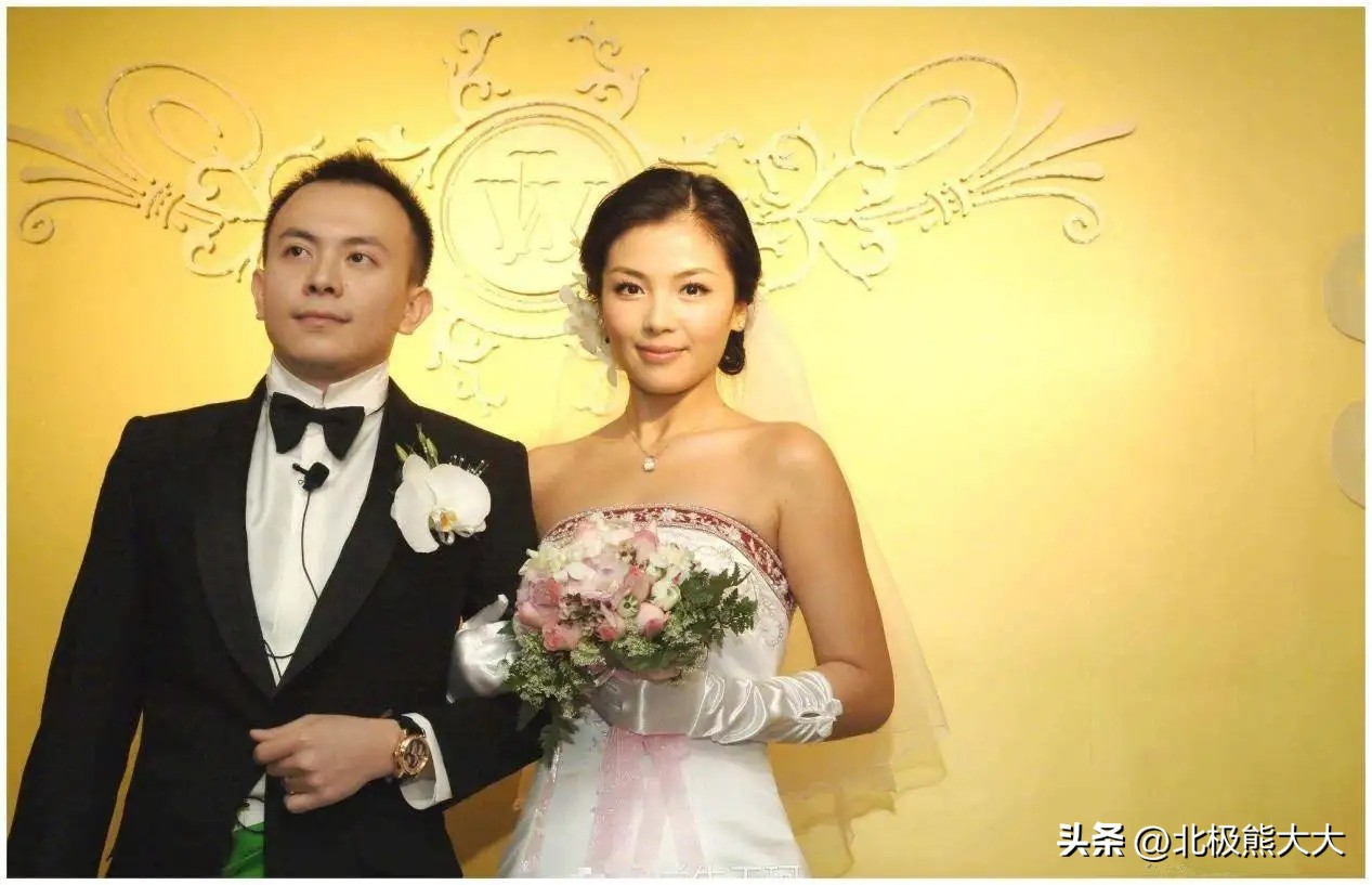 从贤妻到女强人刘涛都经历了什么,贤妻刘涛的情感往事