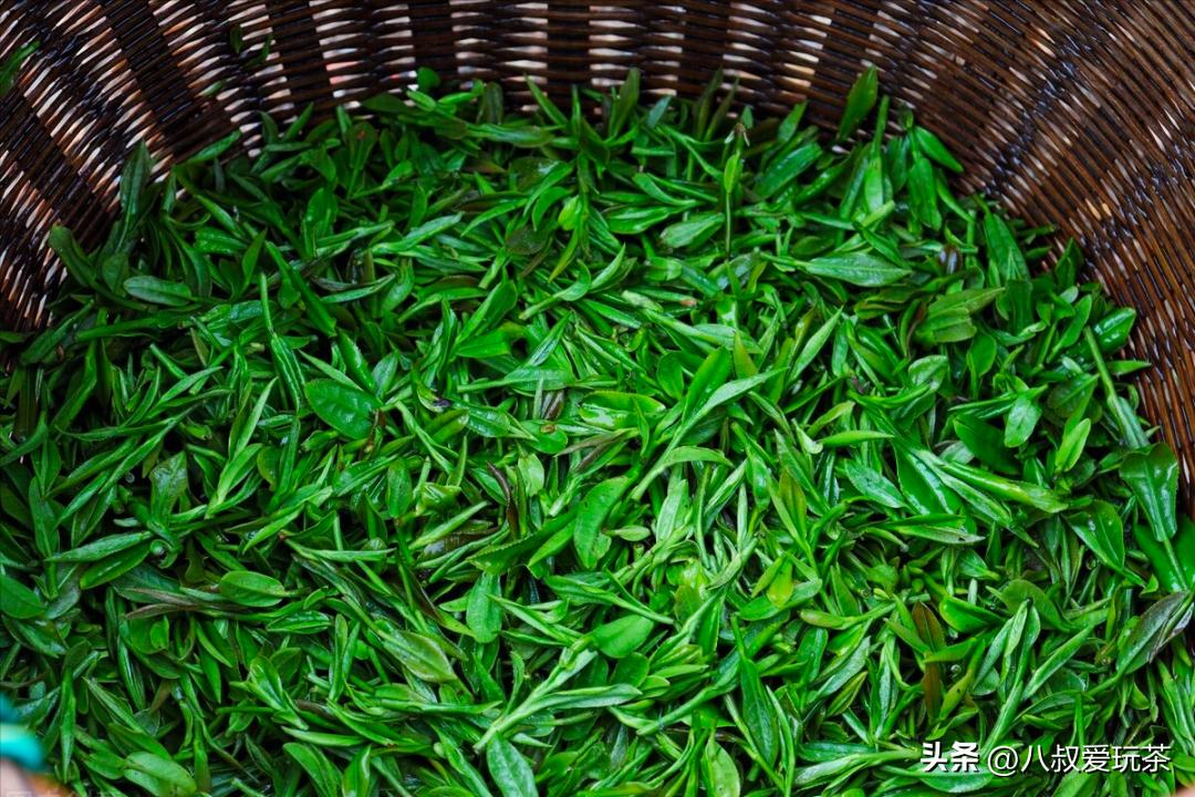 兰馨茶叶跟贵天下茶叶哪个品牌好,西双版纳普洱茶叶排名前十名品牌