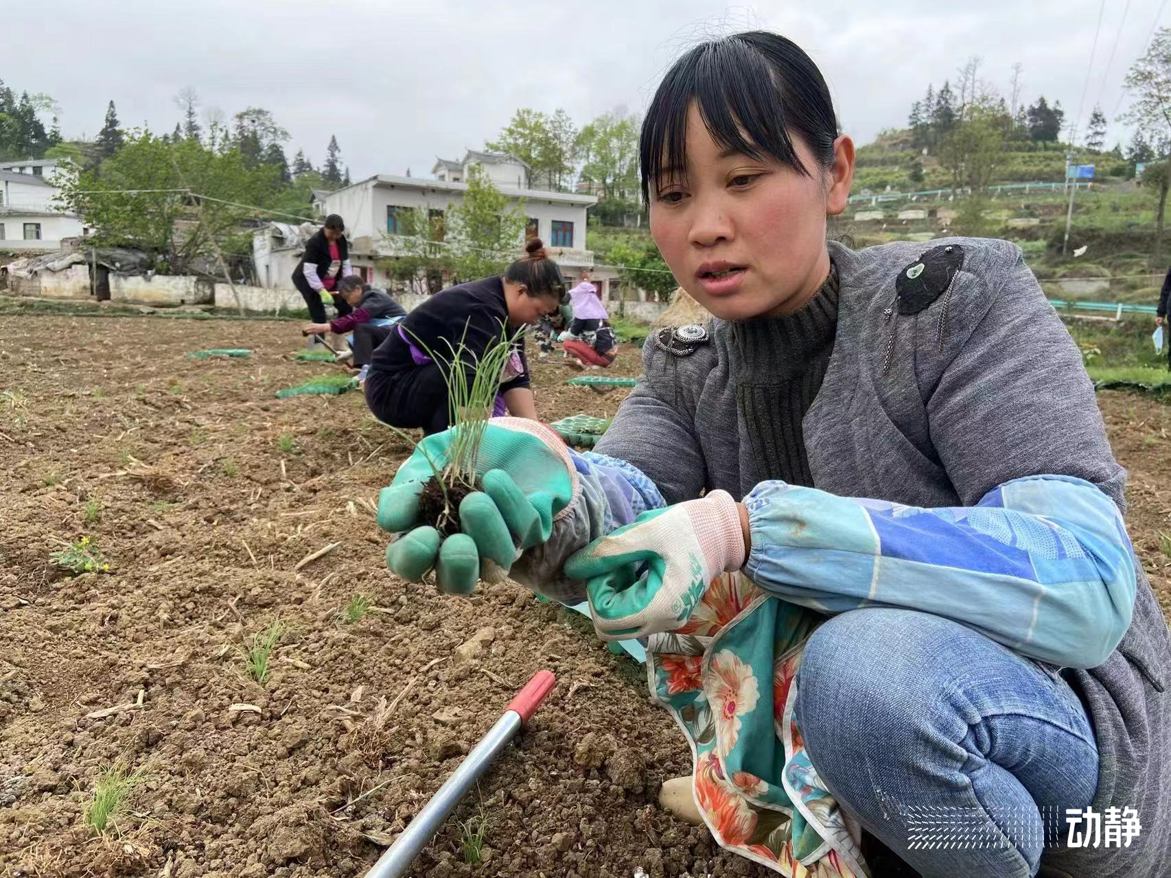 毕业三年的大学生返乡创业贷款,四川返乡创业免息贷款条件