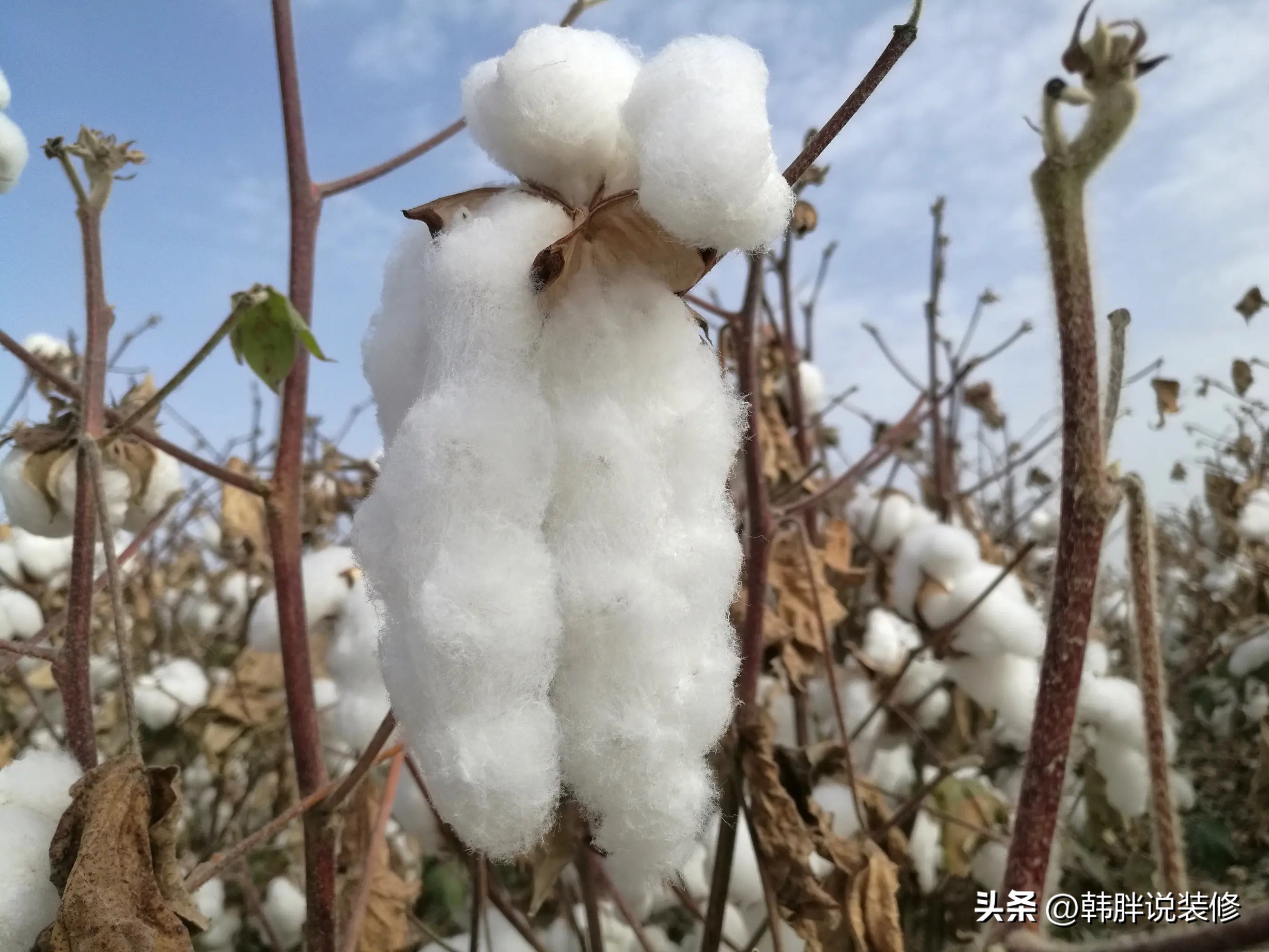 一世人生半世床，换掉这5种床上用品，比睡五星级酒店还要舒坦