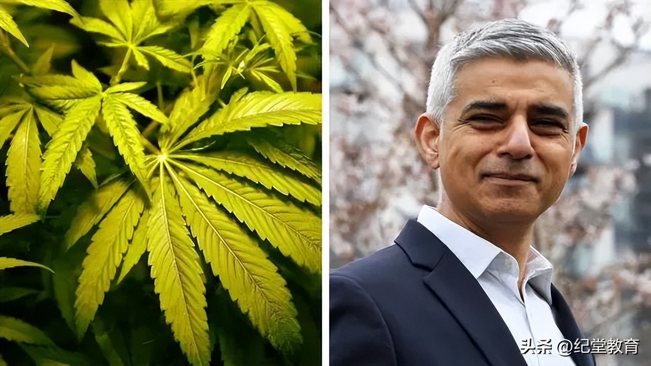 烟酒和毒品对人的危害,香烟与大麻的危害