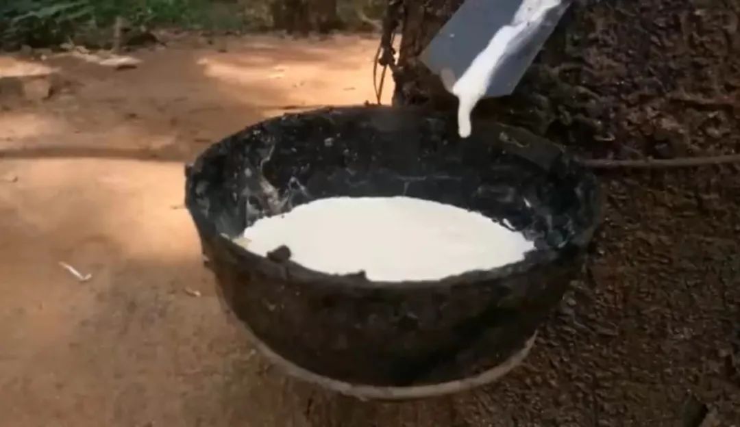 套套为什么没有黑色的？