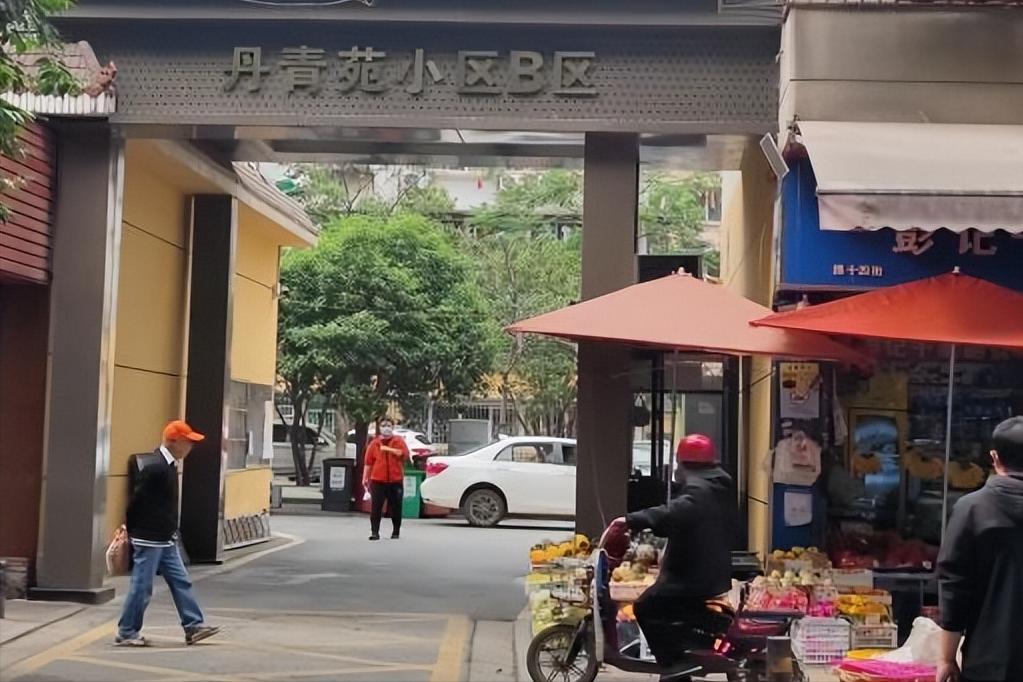 武汉市青山区丹青苑,武汉青山区小区改造名单