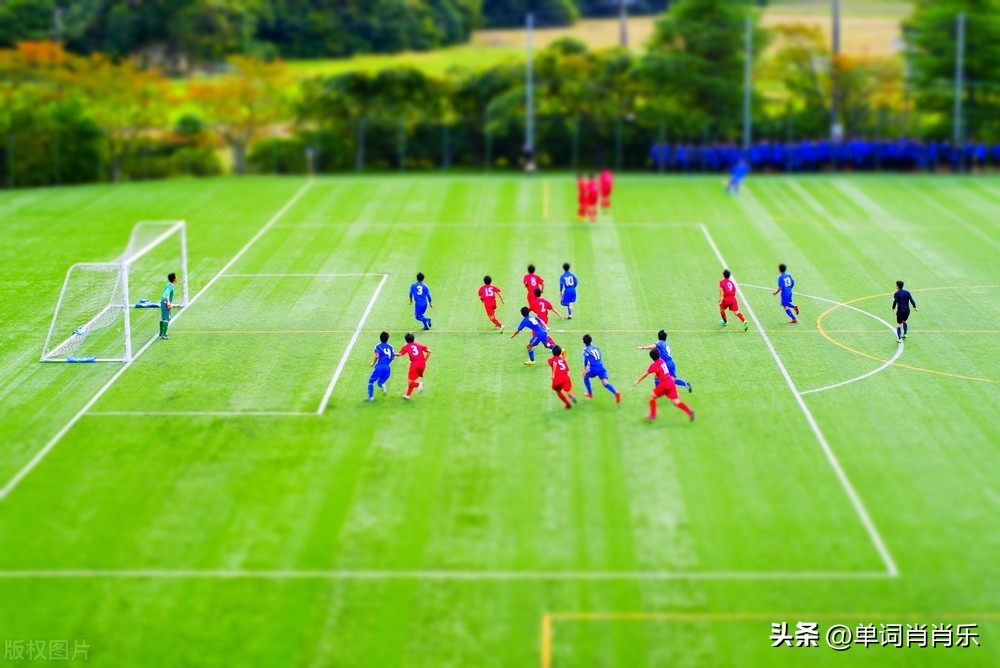 有言有味说单词,有言有味