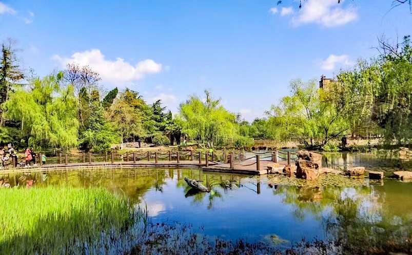 合肥旅游必去十大景点推荐最新,合肥旅游必去十大景点推荐一下