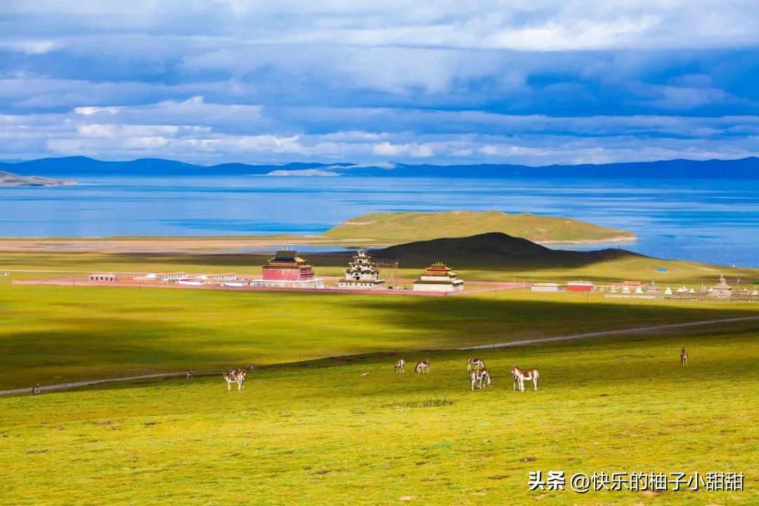 绌胯秺鍥涘ぇ鏃犱汉鍖哄彲鍙タ閲岀涔濆ぉ,鍙彲瑗块噷鏋侀檺涔嬫梾