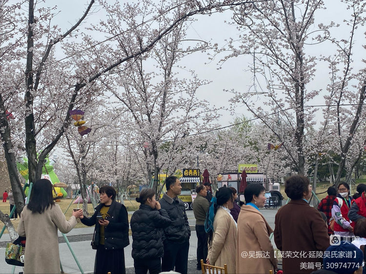 龙城之光演绎风采大赛,龙城新龙生态林