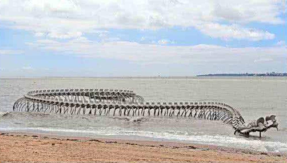 屋里进蛇女子淡定抓蛇,女子抓2米多长的蛇