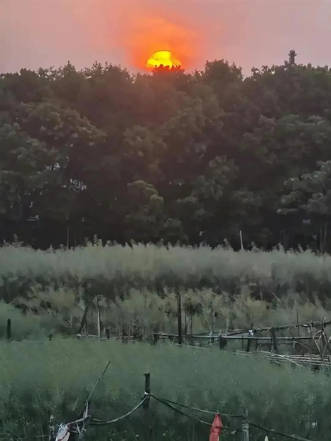 创业计划书格式,餐厅创业计划书