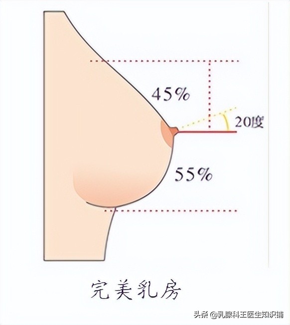 你必须知道！原来“乳头内陷”的危害这么大