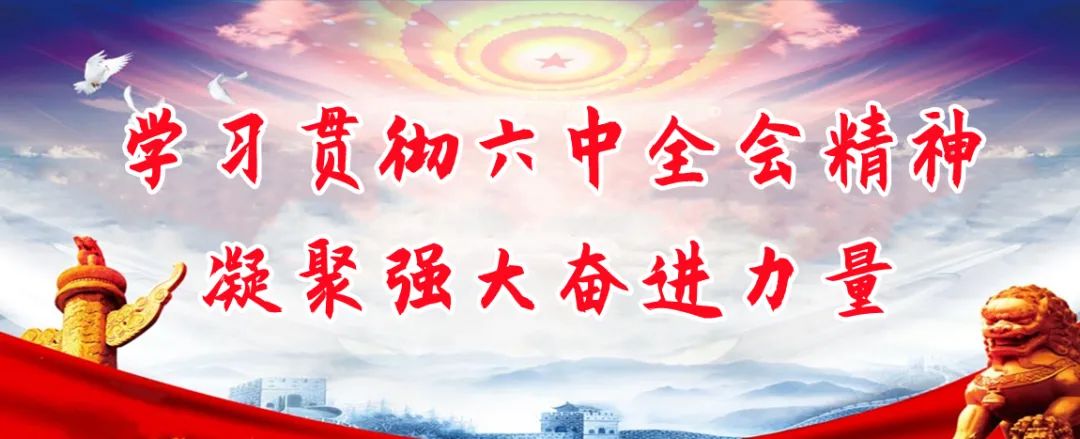 学习全区优化营商环境会议精神,营商局学两会精神