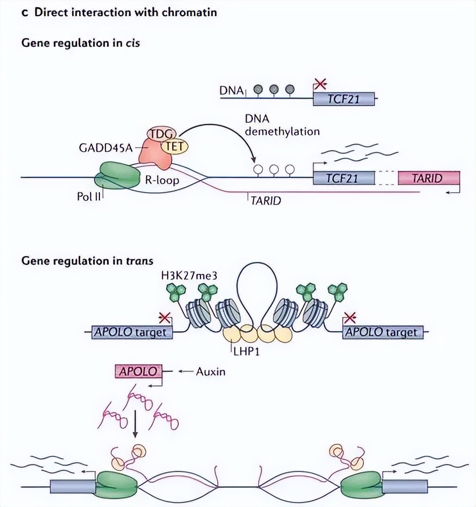 nature最新论文,nature论文最新发现