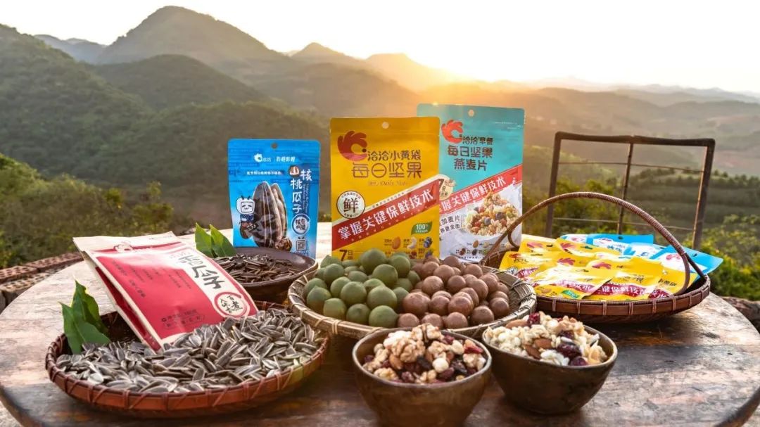 洽洽坚果小黄袋和进化论,洽洽食品是好生意吗