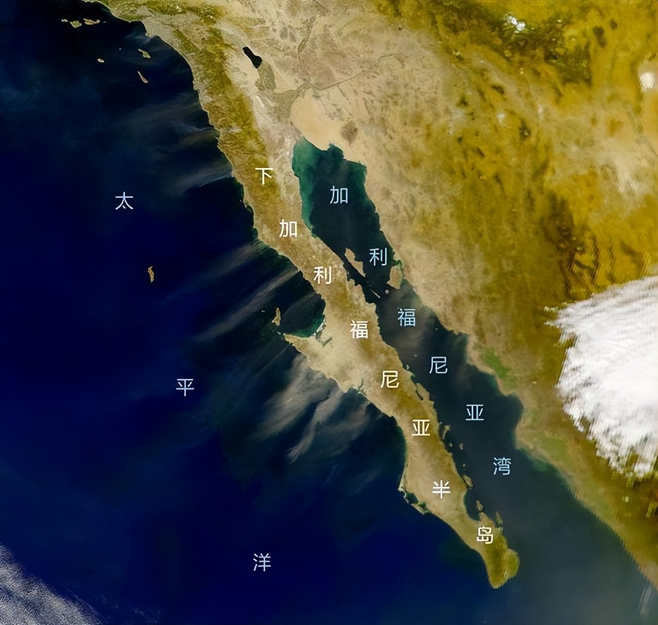美国吞并了墨西哥多少领土,美国吞并的墨西哥领土有多大