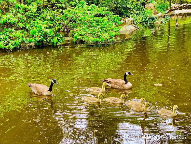世界花园风景,世界花园