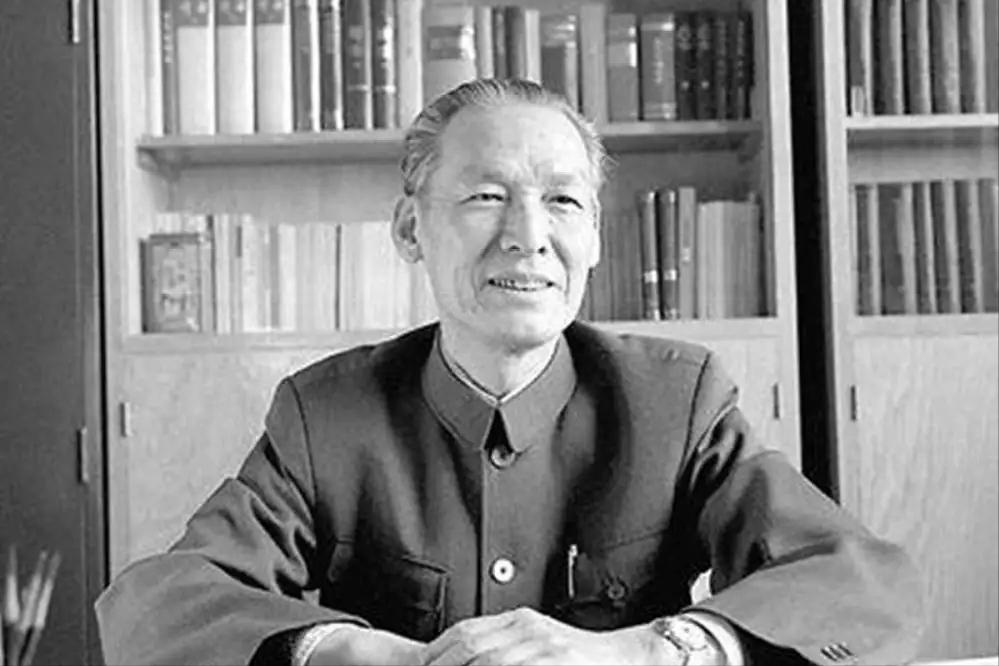 公安部长上交*小平邓**一份报告，邓公看后直言：这根本解决不了问题