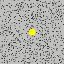 为什么你总打不到苍蝇？因为它们数学“学得”比你好