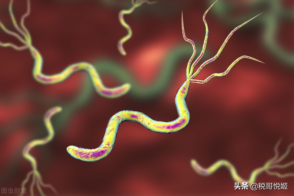 谱尼测试科技有限公司待遇,谱尼测试核心产品及核心技术