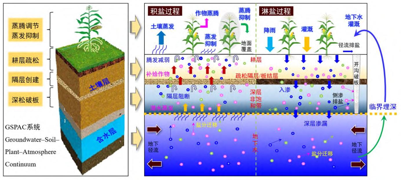 盐渍土的工程特性与危害,盐渍土总结