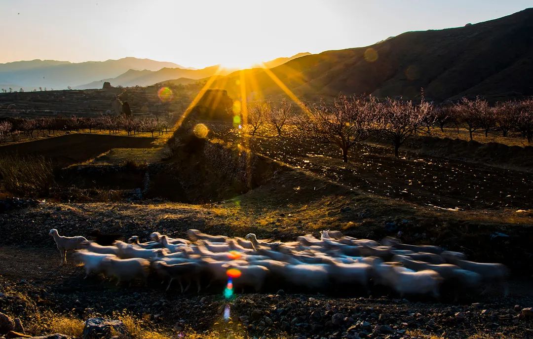 迎接党的20大美术作品,喜迎二十大乡村摄影展