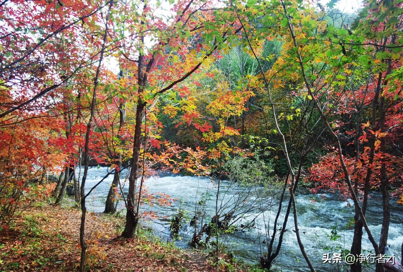 图们江口岸游记,从图们市到牡丹江自驾游