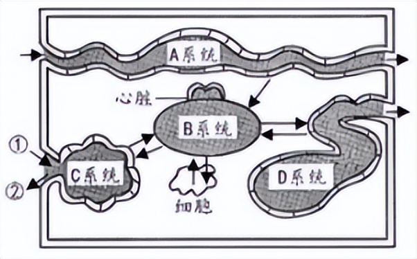 2022初中生物会考真题及答案,2022初中生物测试卷