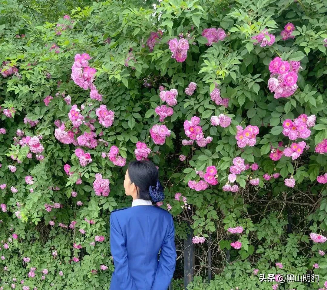 详细交通旅游攻略,公共交通自由行旅游攻略