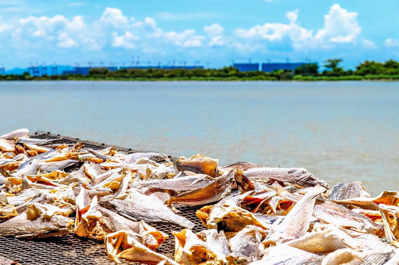 广州沿海吃海鲜的地方,广东吃海鲜最好的地方
