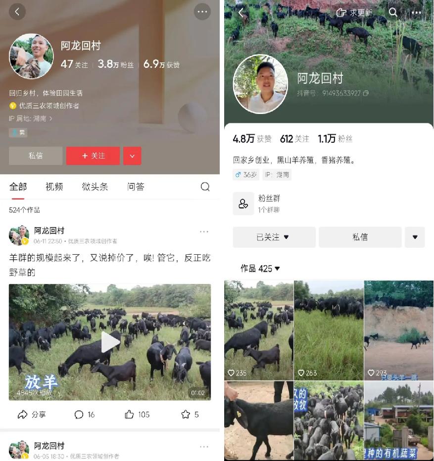 衡南电商达人李元龙：回村羊羊，逆流而上