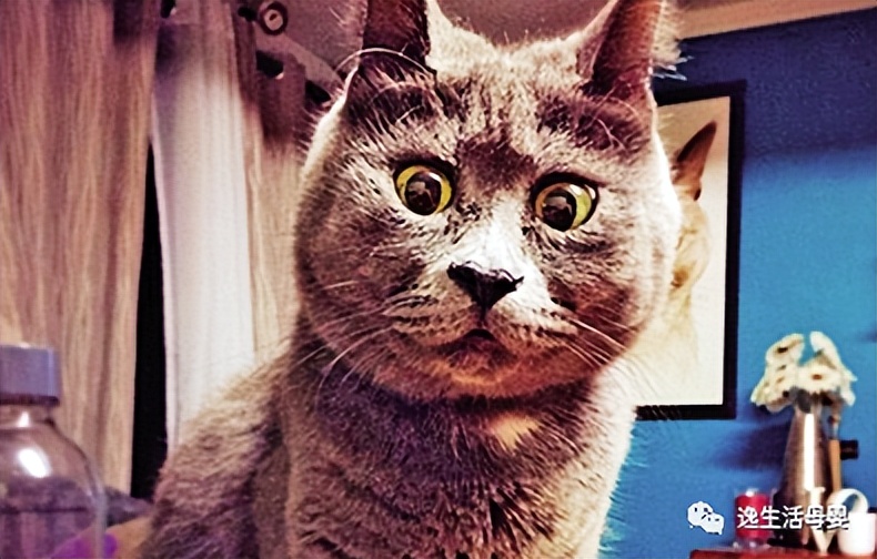 孕期总是做很恐怖的噩梦,孕期有哪些恐怖事情可以做