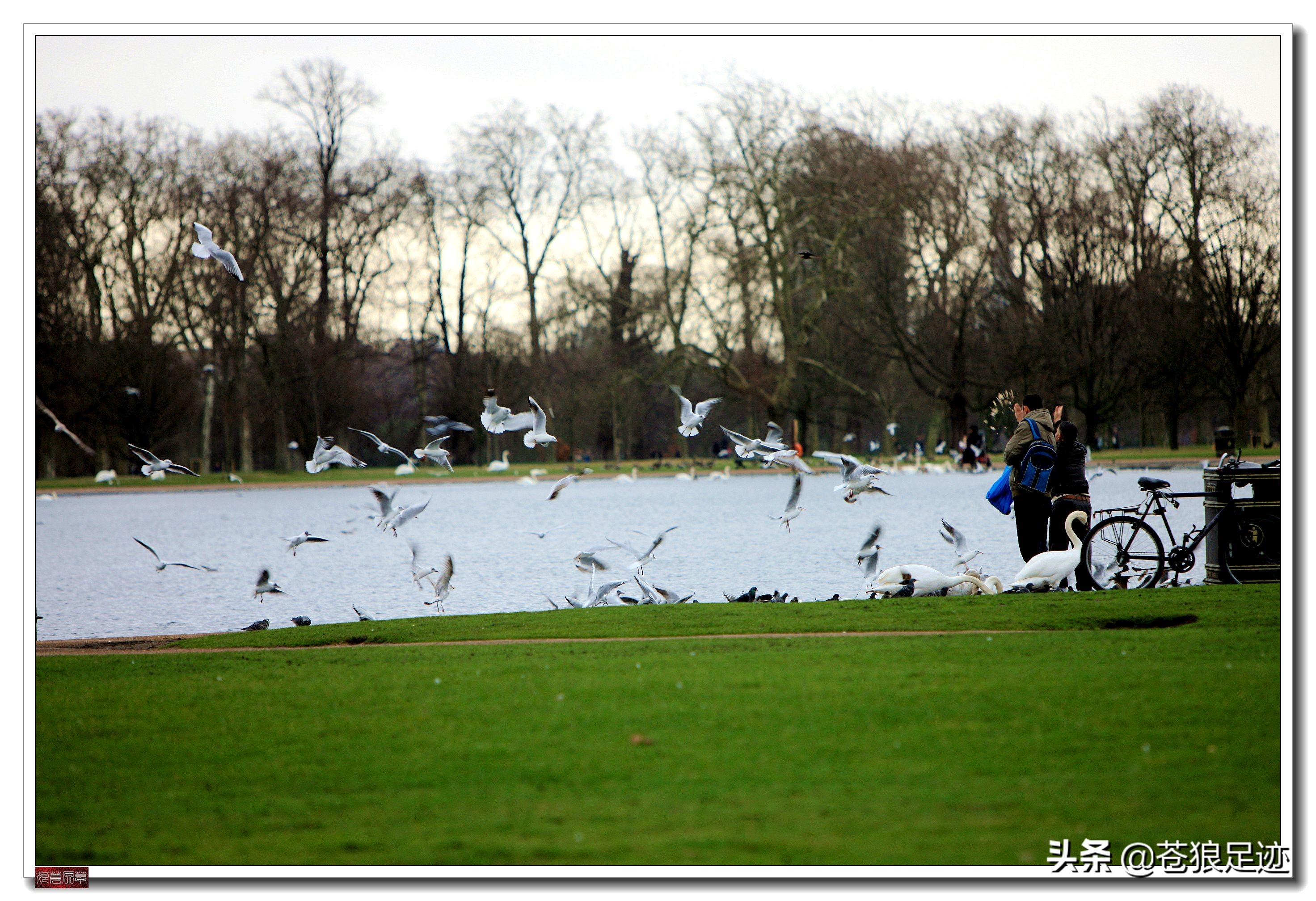 英国海德公园全景,英国皇家园林海德公园