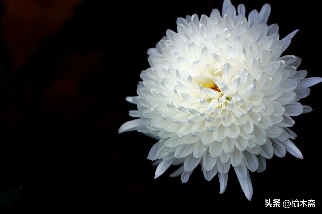 内弟祭姐夫七字祭文,祭姐夫文全文