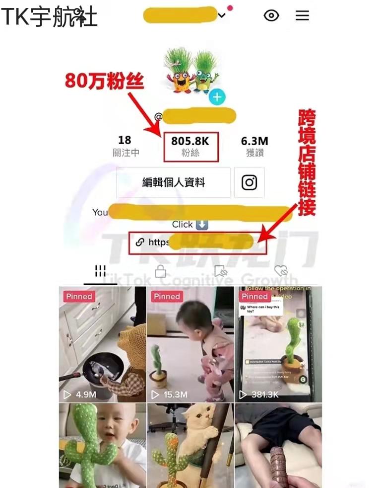 如何用tiktok做跨境电商,tiktok跨境电商怎么开通账户