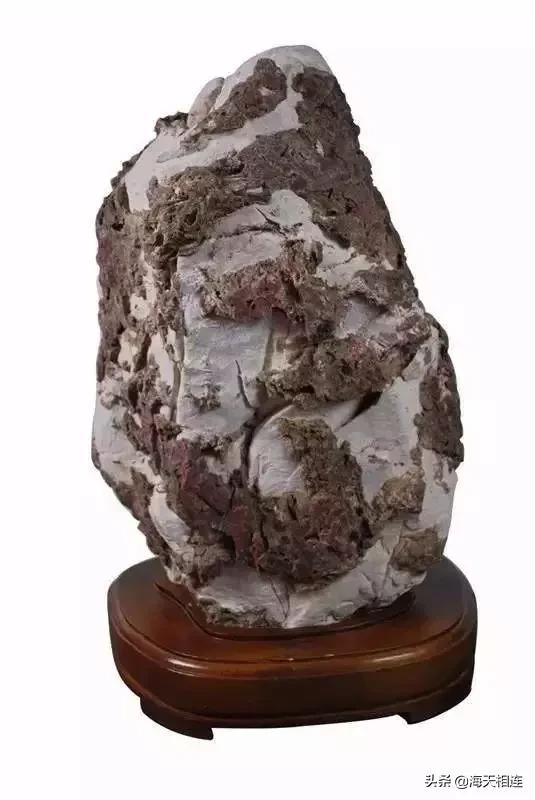 难得一见的仙鹤假奇石,这些难得一见的奇石美醉了