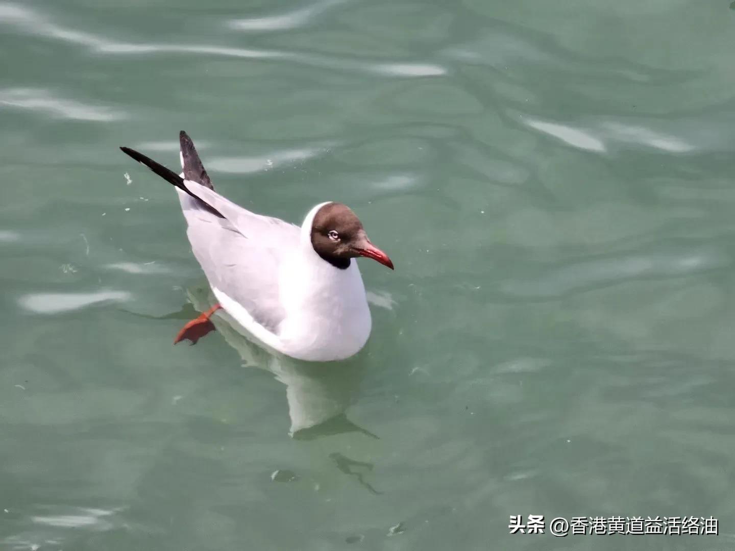 孩子交友不慎如何引导,中学生交友不慎的危害