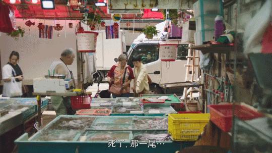 开分9.1，这黑马新剧预定年度最佳