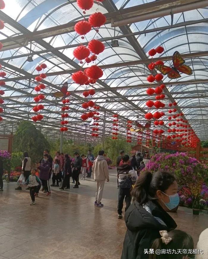 九天休闲谷花鸟鱼虫,九天休闲谷门票是多少钱