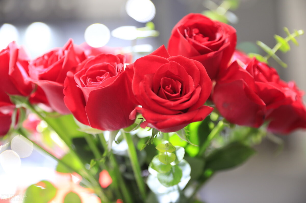 三八妇女节送什么鲜花最好,三八女神节免费送花