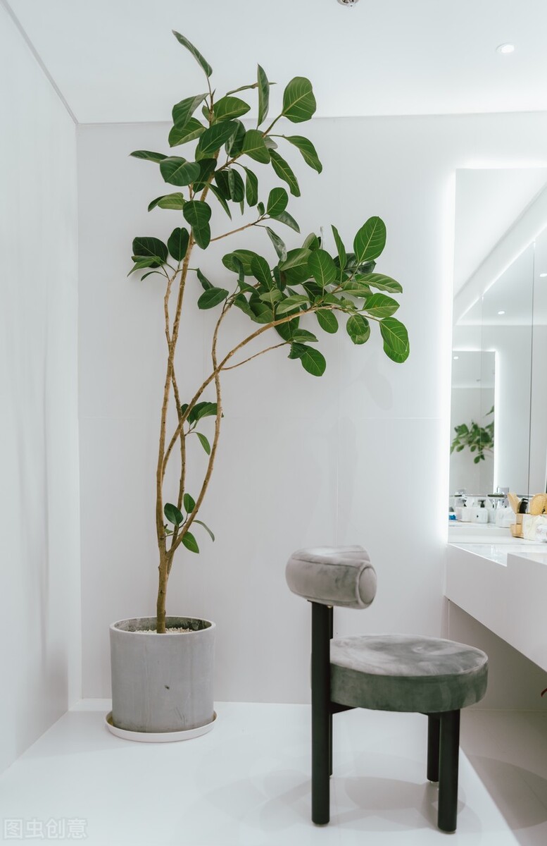 新手零基础学习花店,新手小白如何做线上花店