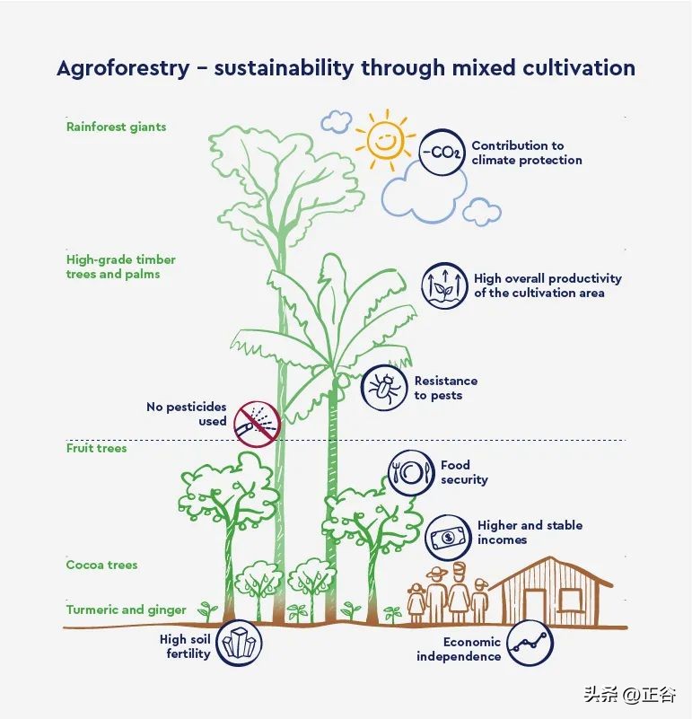 当然，我们还是从味道礼盒讲起