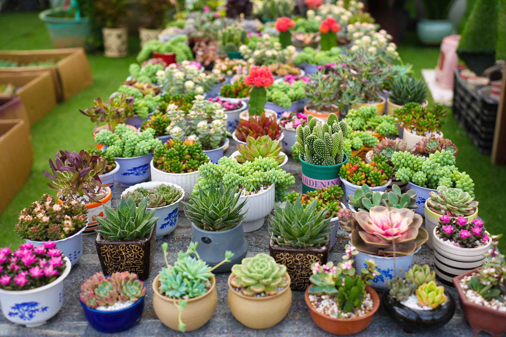 温州瓯海美食一条街,温州乐园刺激惊险