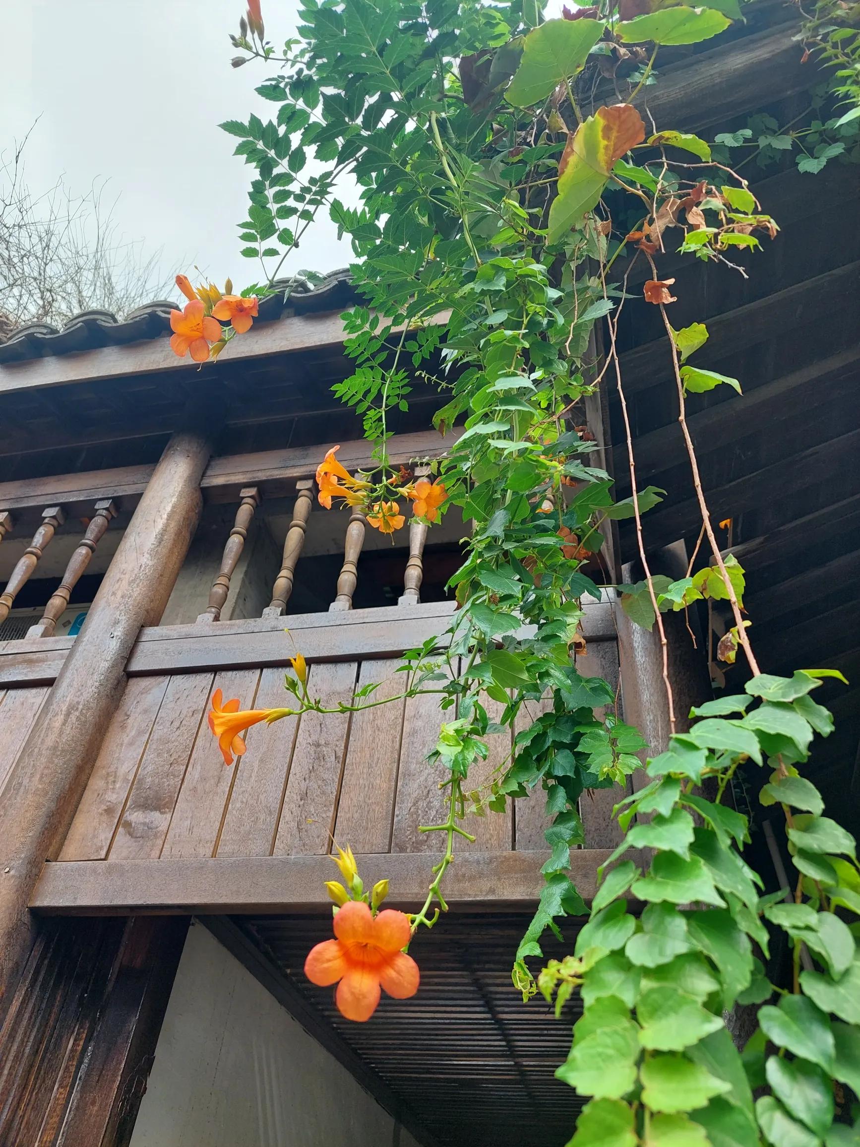 猪八戒职场生存法则,猪八戒的职场智慧