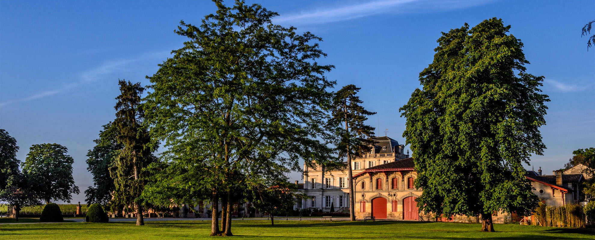 AG94-96分，优雅纯正的美人鱼城堡2021期酒