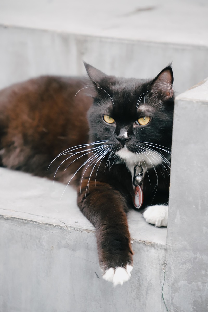 深圳必打卡咖啡馆,深圳罗湖小众咖啡馆